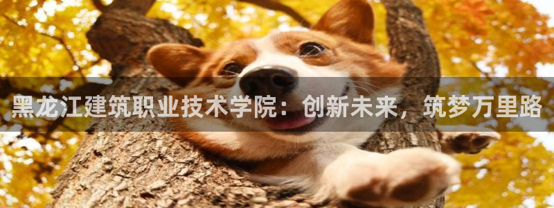 和记娱实惠h88285官网