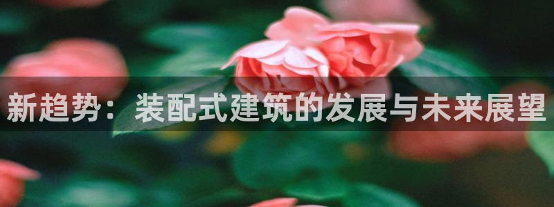 长江和记有限公司官网