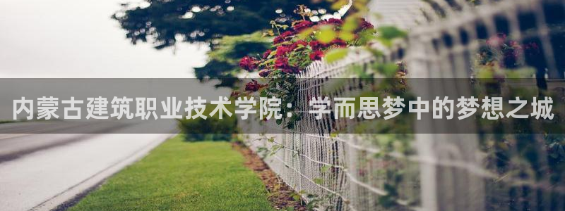 果博官网和记