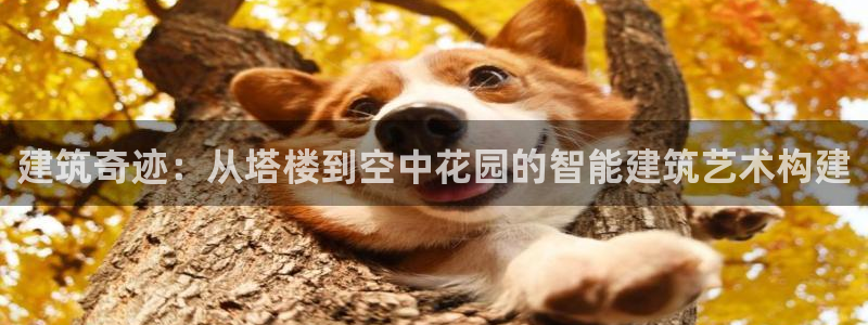 和记娱乐h8官网