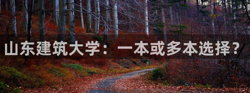 白云 和记黄埔官网