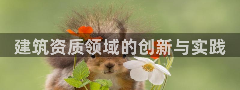 香港和记卡官网