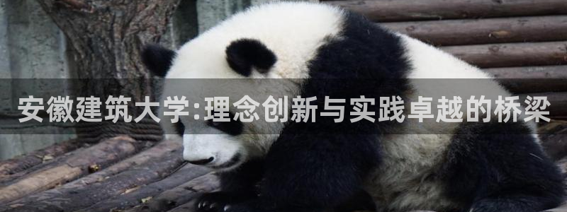 和记娱乐怡情博官网