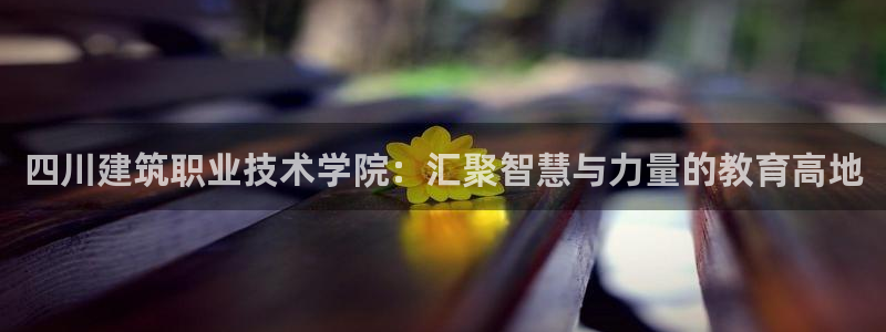 和记日化官网