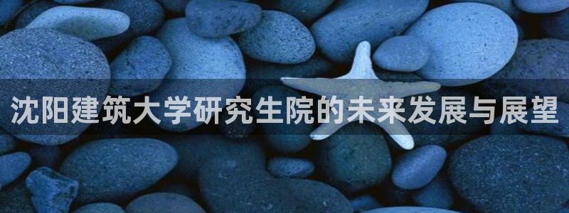 和记官网和记：沈阳建筑大学研究生院的未来发展与展望